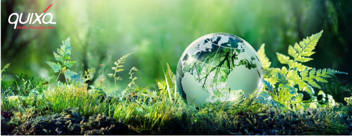 Green economy