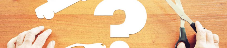 Quali sono i segmenti auto: differenze e caratteristiche