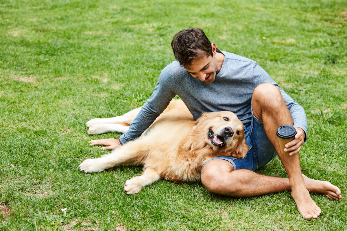 Cane al parco con padrone