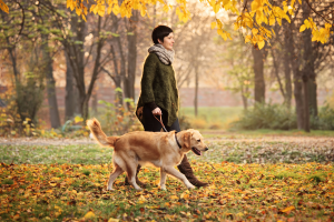 Cane e padrone passeggiano